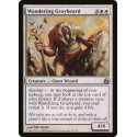 Vagabondo Barbagrigia - Foil