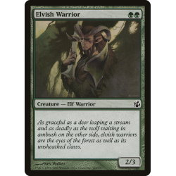 Elvish Warrior - Foil
