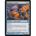 Briarberry Cohort - Foil