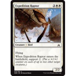 Expeditionsraubvogel