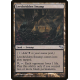 Leechridden Swamp - Foil