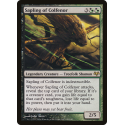 Sapling of Colfenor - Foil