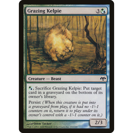 Kelpie al Pascolo