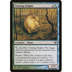 Grazing Kelpie - Foil