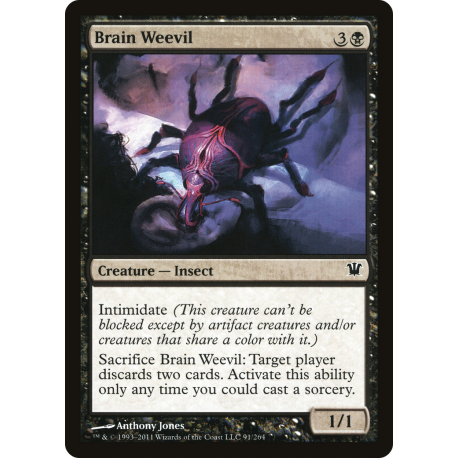 Brain Weevil