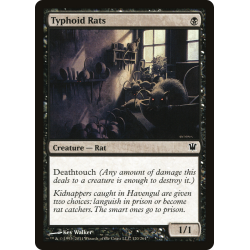 Typhoid Rats