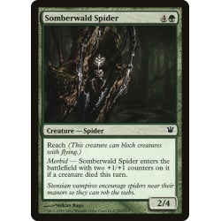 Somberwald Spider - Foil