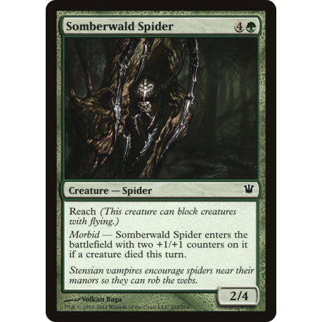 Somberwald Spider - Foil