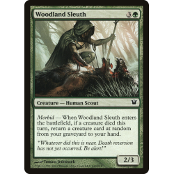 Woodland Sleuth