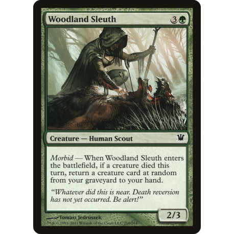 Woodland Sleuth