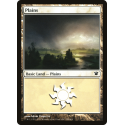 Plains - Foil