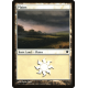 Plains - Foil