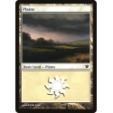 Plaine - Foil