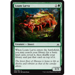 Loam Larva