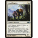 Elefante Stimato - Foil