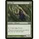 Arbor Elf - Foil