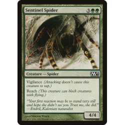 Ragno Sentinella - Foil