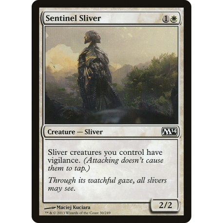 Sentinel Sliver