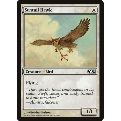 Suntail Hawk - Foil