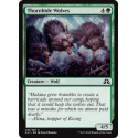 Thornhide Wolves