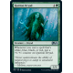 Quirion Dryad