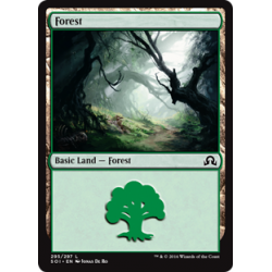 Forêt (295)