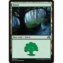 Forêt (296)
