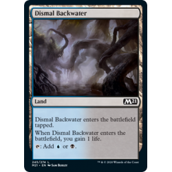 Dismal Backwater - Foil