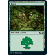 Forest - Foil