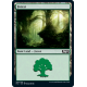 Forest - Foil