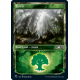 Forêt (Showcase) - Foil