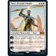 Basri, Devoted Paladin - Foil