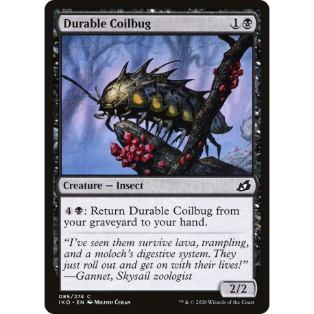 Durable Coilbug