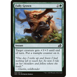 Fully Grown - Foil