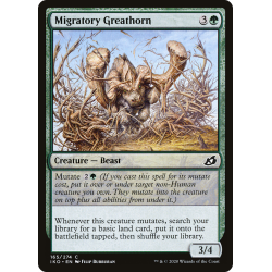 Migratory Greathorn