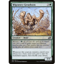 Migratory Greathorn - Foil