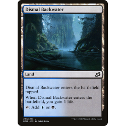 Dismal Backwater - Foil