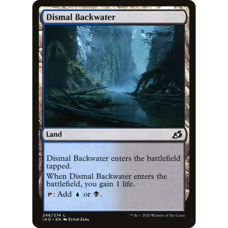 Dismal Backwater - Foil