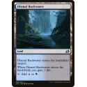 Dismal Backwater - Foil