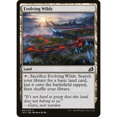 Evolving Wilds