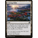 Evolving Wilds