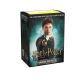 Dragon Shield - WizardingWorld Art 100 Sleeves - Harry Potter