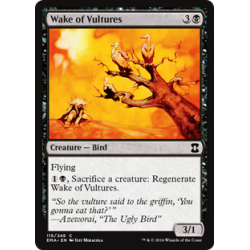 Wake of Vultures