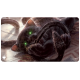 Ultra Pro - Battle for Baldur's Gate Playmat - Displacer Kitten