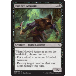 Hooded Assassin
