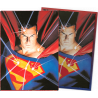 Dragon Shield - Superman Series Brushed Art 100 Sleeves - Superman