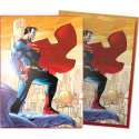 Dragon Shield - Superman Series Brushed Art 100 Sleeves - Superman 2
