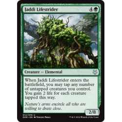 Jaddi Lifestrider