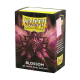 Dragon Shield - Dual Matte 100 Sleeves - Blossom