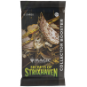I Segreti di Strixhaven - Collector Booster